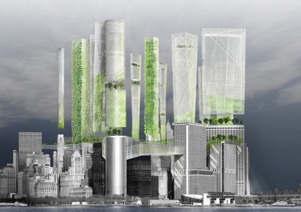 skyscraper-ecosystem-0