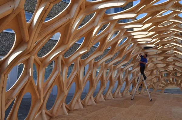 Bowoos Temporary Pavilion, Saarland University, marine biodiversity, lightweight material, wooden pavilion, shell-like structure, student work, german contemporary architecture