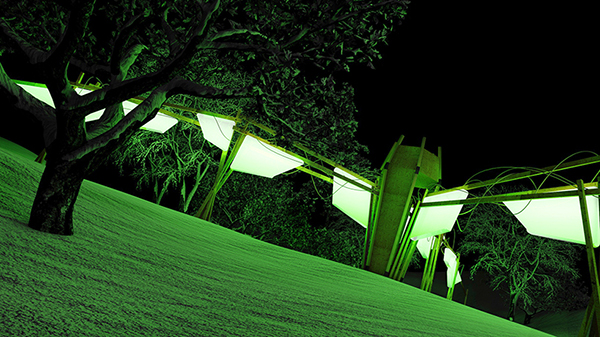 Ygor bioluminescent device